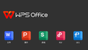 WPS中文版