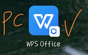 WPS Writer应用