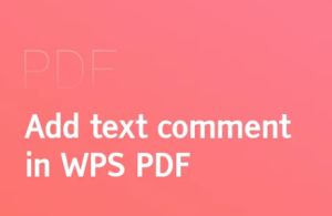 WPS PDF 转 Word